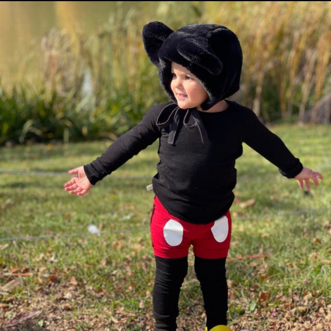 Minnie Mouse themed Dress costume or Mickey costume set