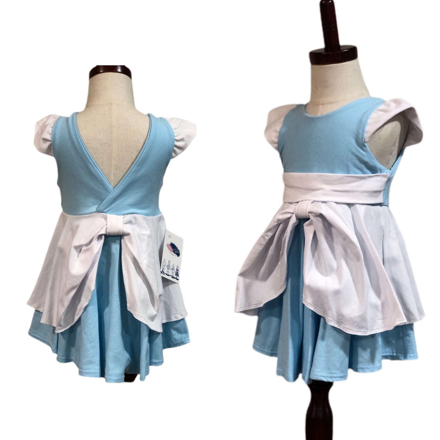 Cinderella Ball Dress Princess Blue Cinderella Dress